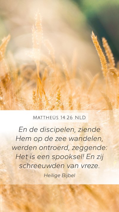Mattheüs 14:26 NLD Mobile Phone Wallpaper - En de discipelen, ziende Hem op de zee wandelen, - Mobile Bible Verse Wallpaper