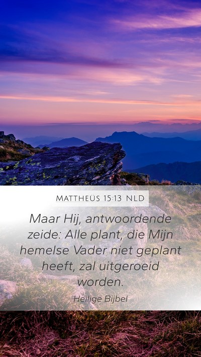 Mattheüs 15:13 NLD Bible Verse Image