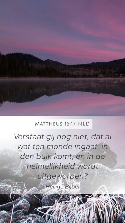Mattheüs 15:17 NLD Bible Verse Image