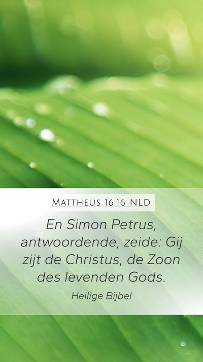 Mattheüs 16:16 NLD Bible Verse Image