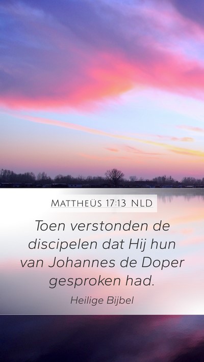 Mattheüs 17:13 NLD Mobile Phone Wallpaper - Toen verstonden de discipelen dat Hij hun van - Mobile Bible Verse Wallpaper