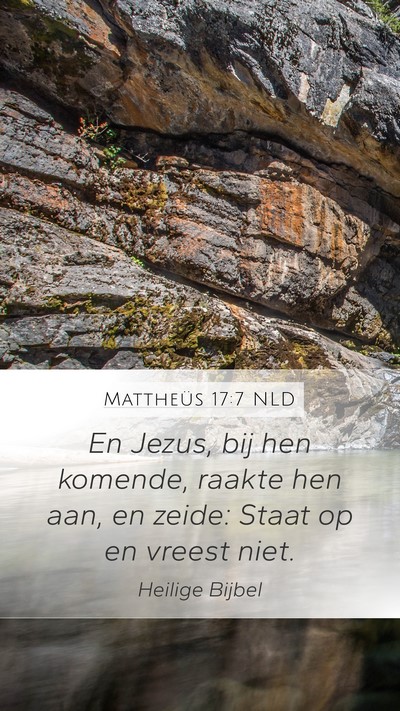 Mattheüs 17:7 NLD Mobile Phone Wallpaper - En Jezus, bij hen komende, raakte hen aan, en - Mobile Bible Verse Wallpaper