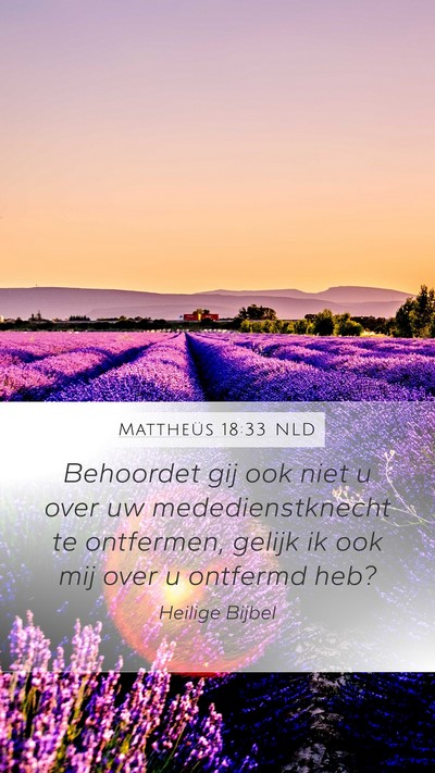 Mattheüs 18:33 NLD Bible Verse Image