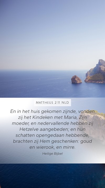 Mattheüs 2:11 NLD Bible Verse Image