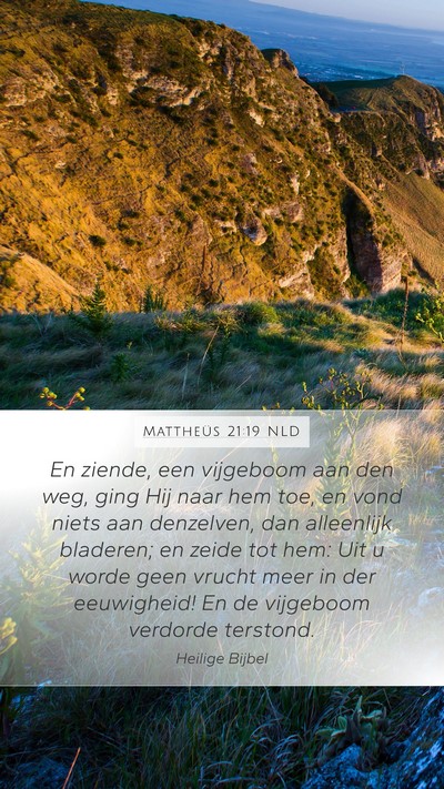 Mattheüs 21:19 NLD Bible Verse Image