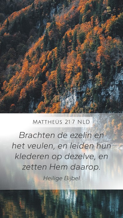 Mattheüs 21:7 NLD Mobile Phone Wallpaper - Brachten de ezelin en het veulen, en leiden hun - Mobile Bible Verse Wallpaper