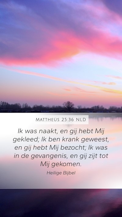 Mattheüs 25:36 NLD Bible Verse Image