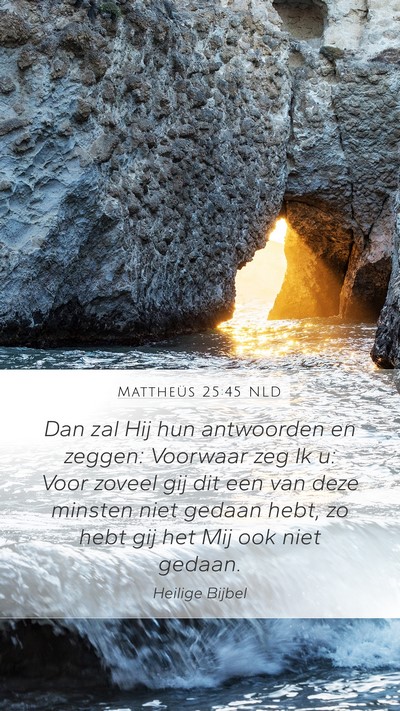 Mattheüs 25:45 NLD Bible Verse Image