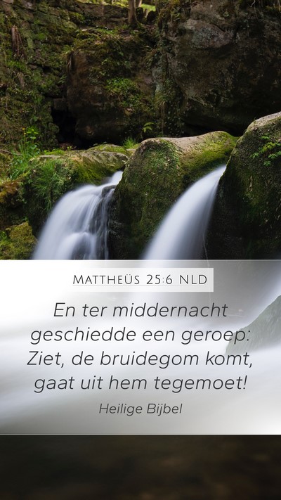 Mattheüs 25:6 NLD Bible Verse Image