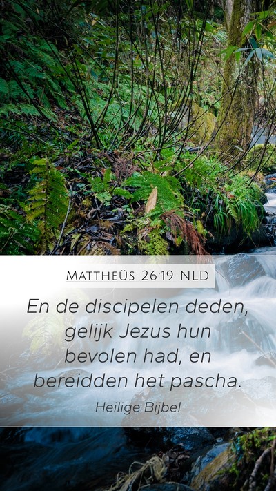 Mattheüs 26:19 NLD Bible Verse Image