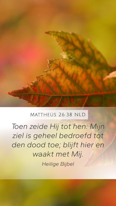 Mattheüs 26:38 NLD Bible Verse Image