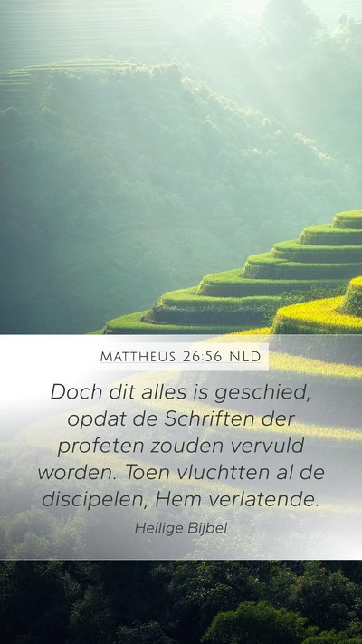 Mattheüs 26:56 NLD Mobile Phone Wallpaper - Doch dit alles is geschied, opdat de Schriften - Mobile Bible Verse Wallpaper