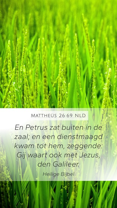 Mattheüs 26:69 NLD Mobile Phone Wallpaper - En Petrus zat buiten in de zaal; en een - Mobile Bible Verse Wallpaper