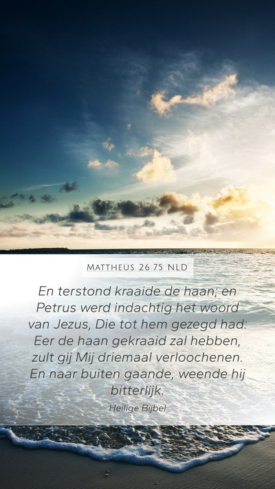 Mattheüs 26:75 NLD Bible Verse Image