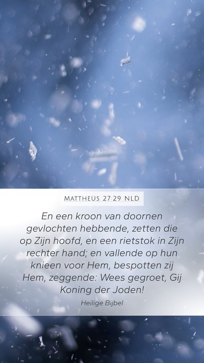 Mattheüs 27:29 NLD Bible Verse Image