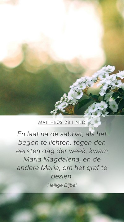 Mattheüs 28:1 NLD Bible Verse Image