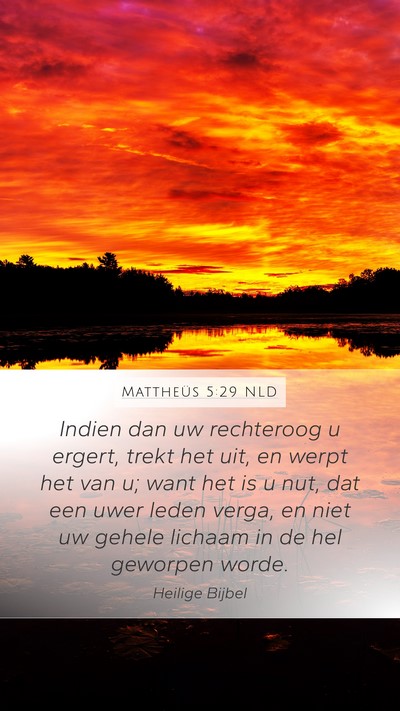 Mattheüs 5:29 NLD Bible Verse Image