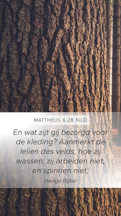 Mattheüs 6:28 NLD Bible Verse Image
