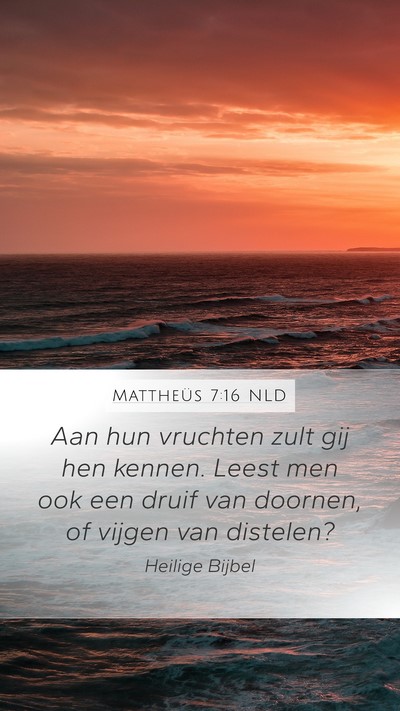 Mattheüs 7:16 NLD Bible Verse Image