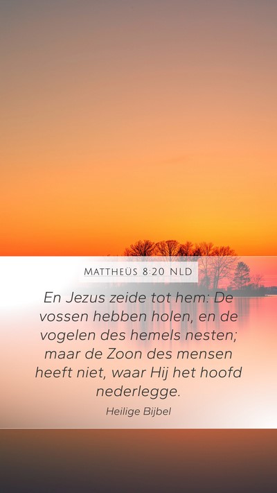 Mattheüs 8:20 NLD Bible Verse Image