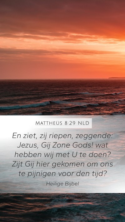 Mattheüs 8:29 NLD Bible Verse Image