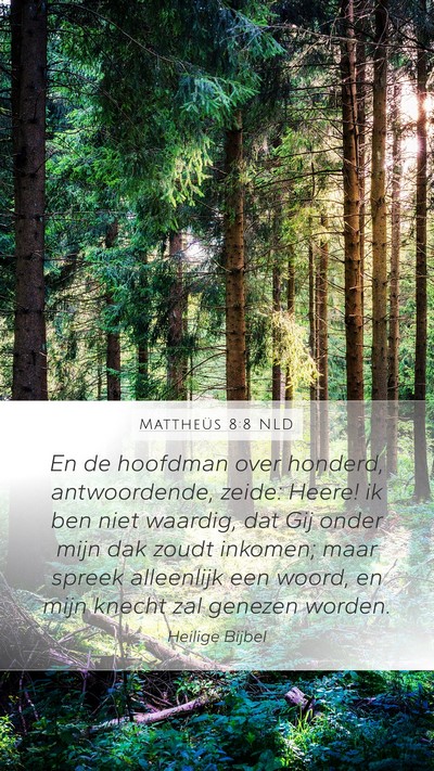 Mattheüs 8:8 NLD Bible Verse Image