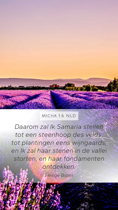 Micha 1:6 NLD Bible Verse Image