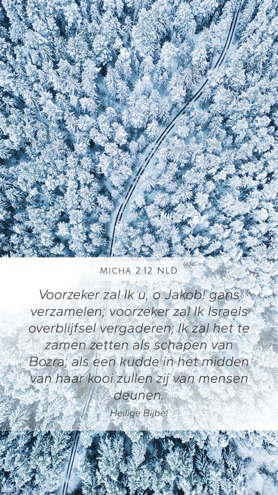 Micha 2:12 NLD Bible Verse Image