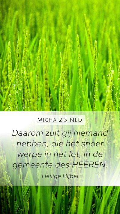 Micha 2:5 NLD Mobile Phone Wallpaper - Daarom zult gij niemand hebben, die het snoer - Mobile Bible Verse Wallpaper
