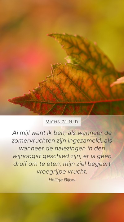Micha 7:1 NLD Bible Verse Image