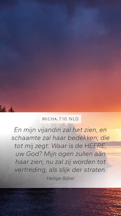 Micha 7:10 NLD Bible Verse Image