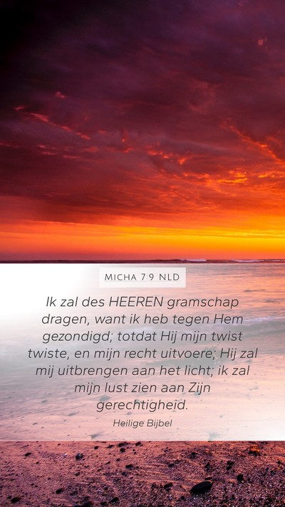 Micha 7:9 NLD Bible Verse Image