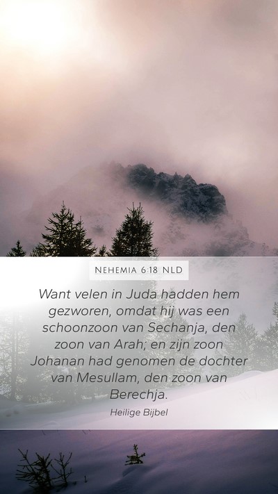 Nehemia 6:18 NLD Bible Verse Image