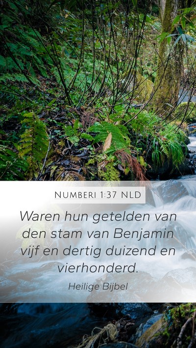 Numberi 1:37 NLD Bible Verse Image