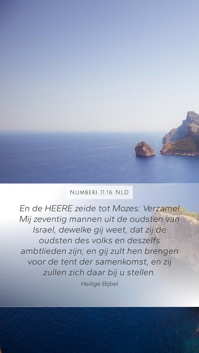 Numberi 11:16 NLD Bible Verse Image