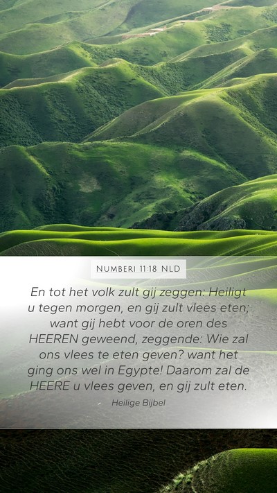 Numberi 11:18 NLD Mobile Phone Wallpaper - En tot het volk zult gij zeggen: Heiligt u tegen - Mobile Bible Verse Wallpaper