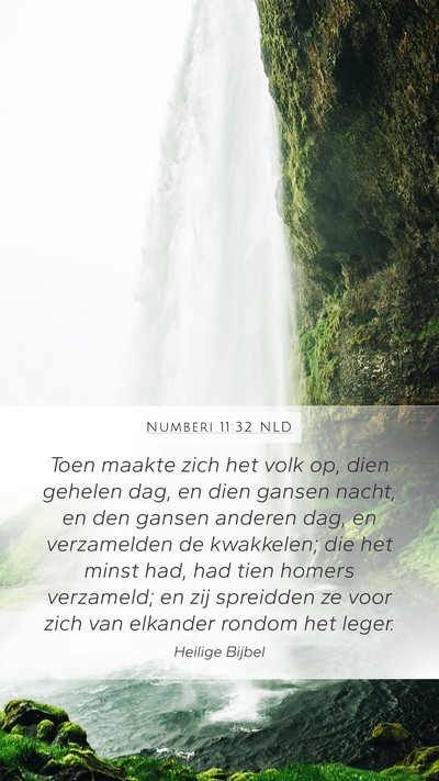 Numberi 11:32 NLD Bible Verse Image