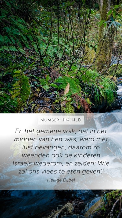Numberi 11:4 NLD Bible Verse Image