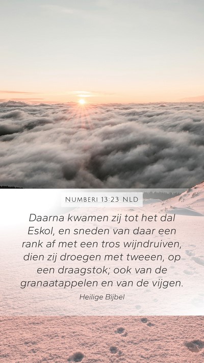 Numberi 13:23 NLD Bible Verse Image
