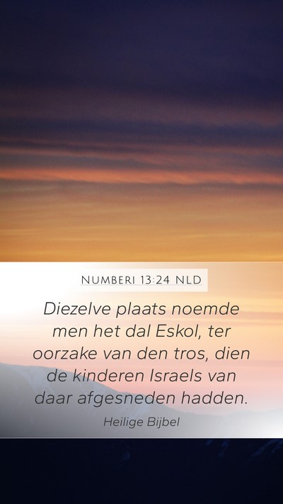 Numberi 13:24 NLD Bible Verse Image
