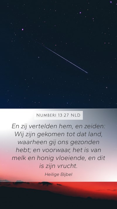 Numberi 13:27 NLD Bible Verse Image