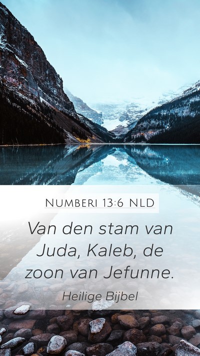 Numberi 13:6 NLD Bible Verse Image