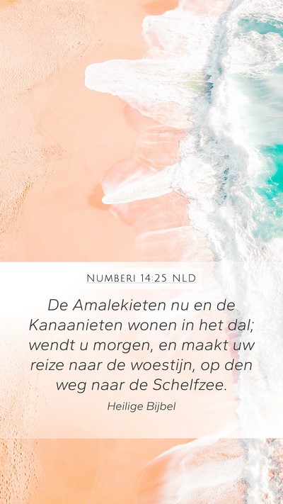 Numberi 14:25 NLD Bible Verse Image