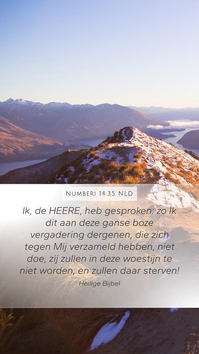 Numberi 14:35 NLD Bible Verse Image