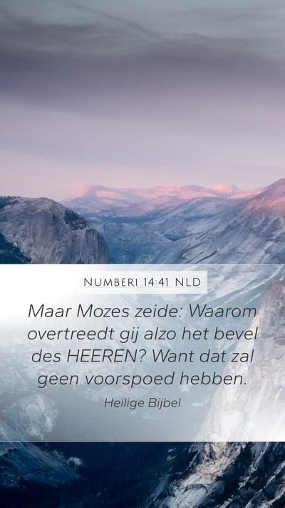 Numberi 14:41 NLD Bible Verse Image