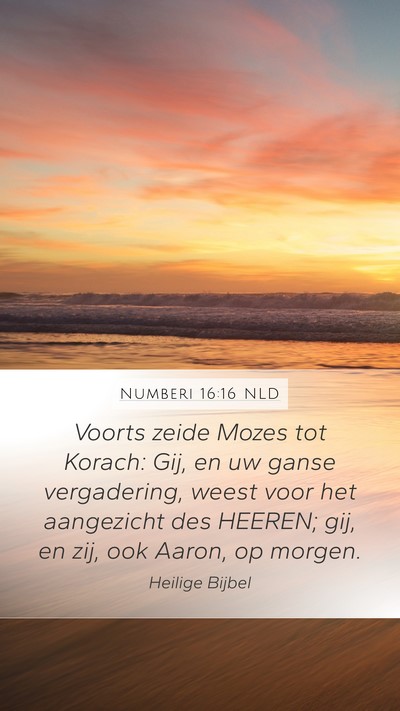 Numberi 16:16 NLD Bible Verse Image