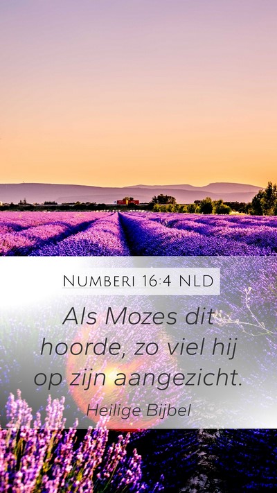 Numberi 16:4 NLD Mobile Phone Wallpaper - Als Mozes dit hoorde, zo viel hij op zijn - Mobile Bible Verse Wallpaper