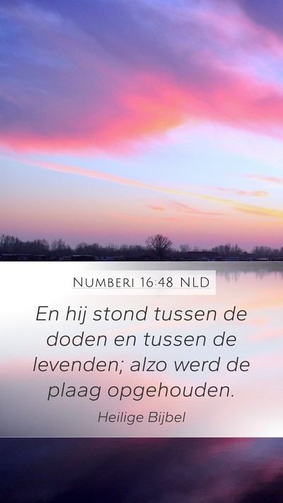 Numberi 16:48 NLD Mobile Phone Wallpaper - En hij stond tussen de doden en tussen de - Mobile Bible Verse Wallpaper