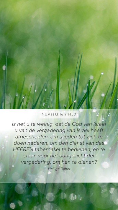 Numberi 16:9 NLD Bible Verse Image