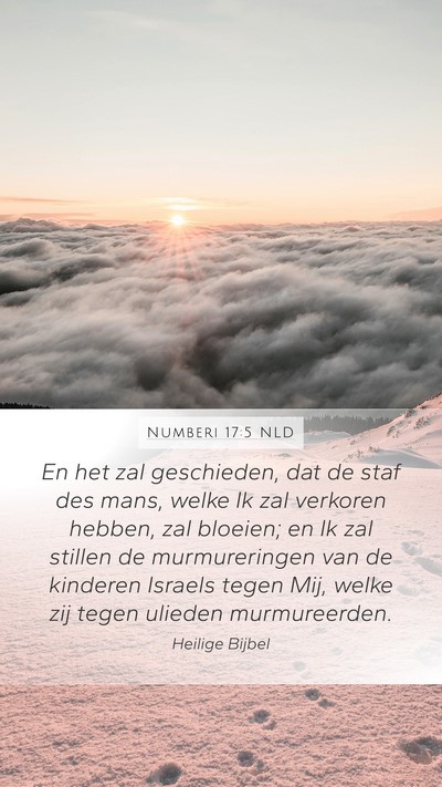 Numberi 17:5 NLD Bible Verse Image